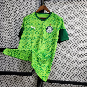 Camisa Palmeiras Treino 24/25