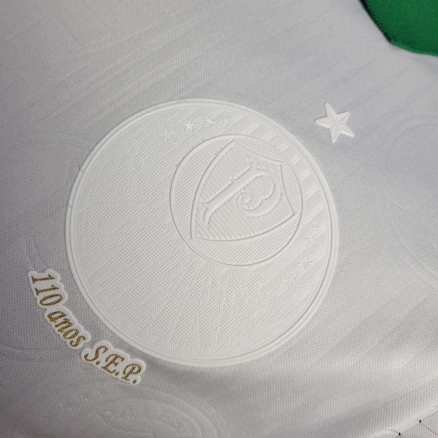 Camisa Palmeiras Modelo Especial Jogador 24/25