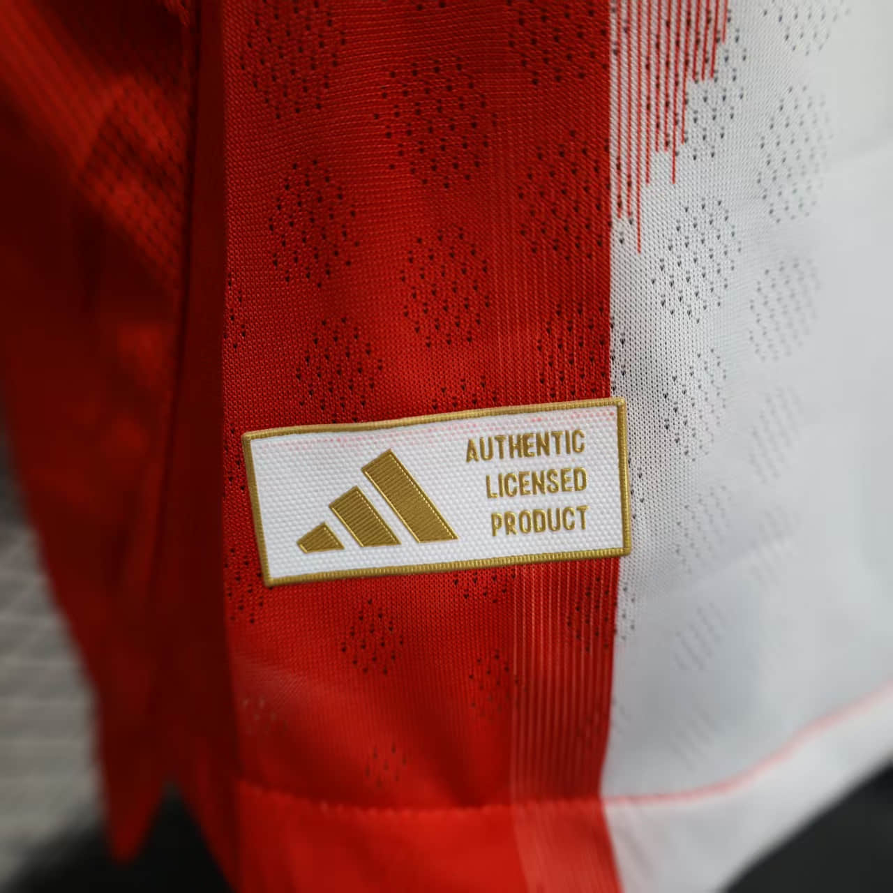 Camisa Bayern Munich Home Manga Longa Jogador 25/26