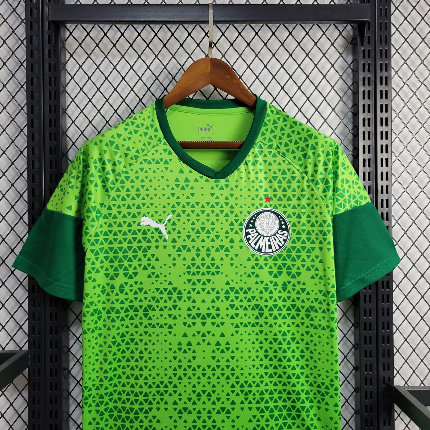 Camisa Palmeiras Treino 24/25