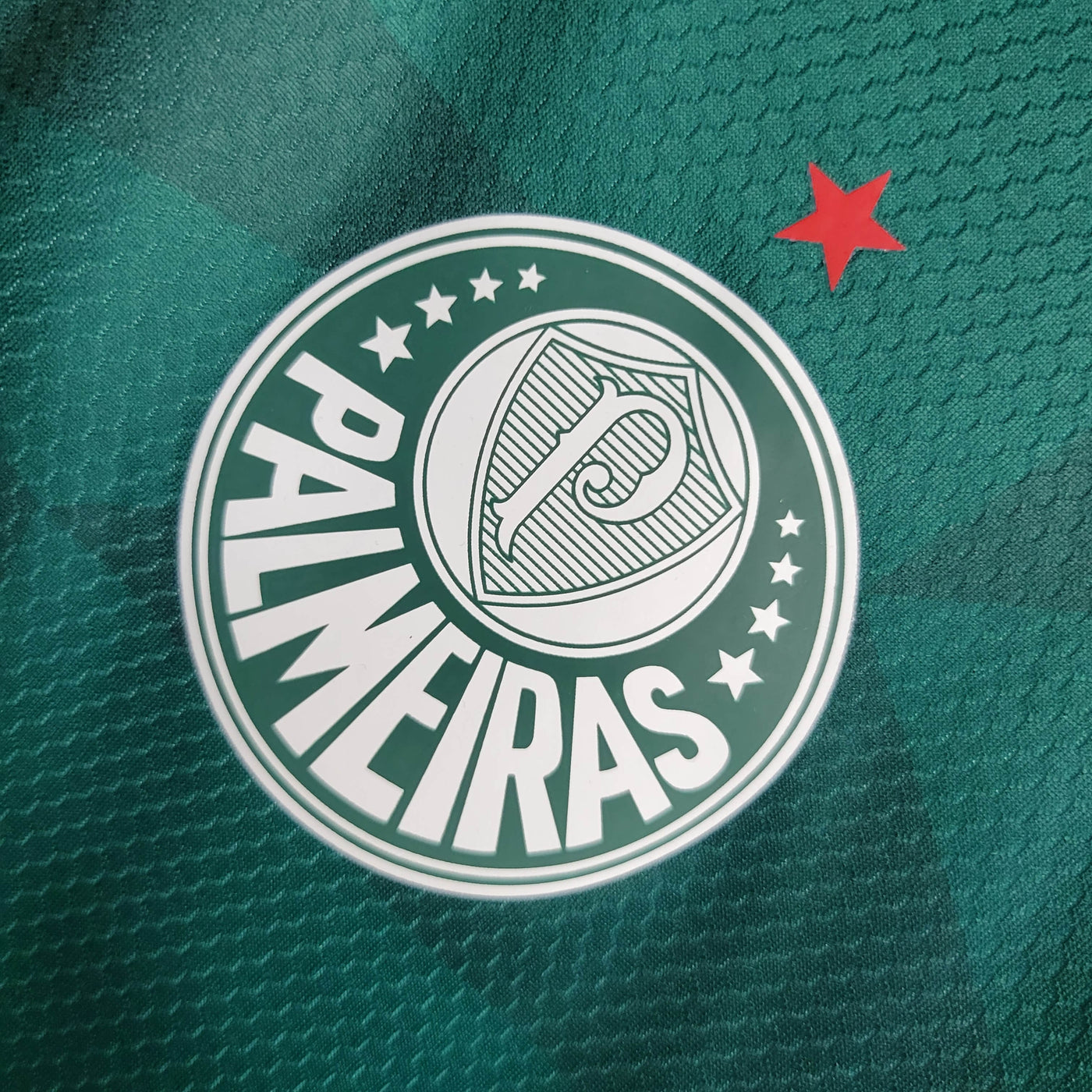Camisa Palmeiras Home 23/24 Feminina