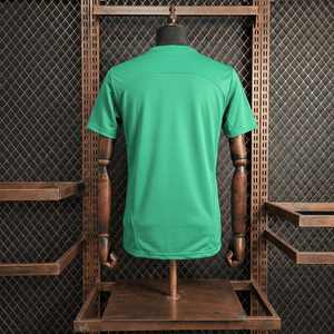 Camisa Palmeiras Treino 25/26