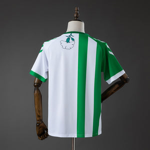 Camisa Real Betis Pré-jogo 25/26