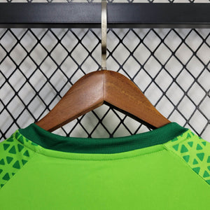 Camisa Palmeiras Treino 24/25