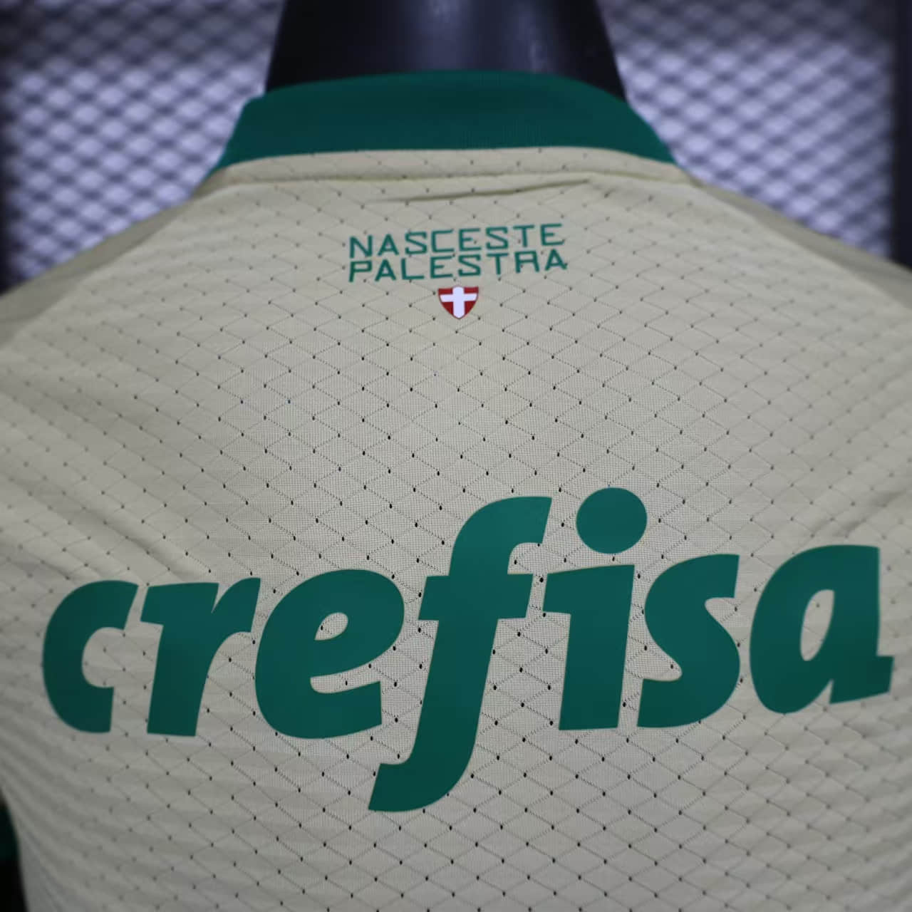 Camisa Palmeiras Away Jogador 24/25