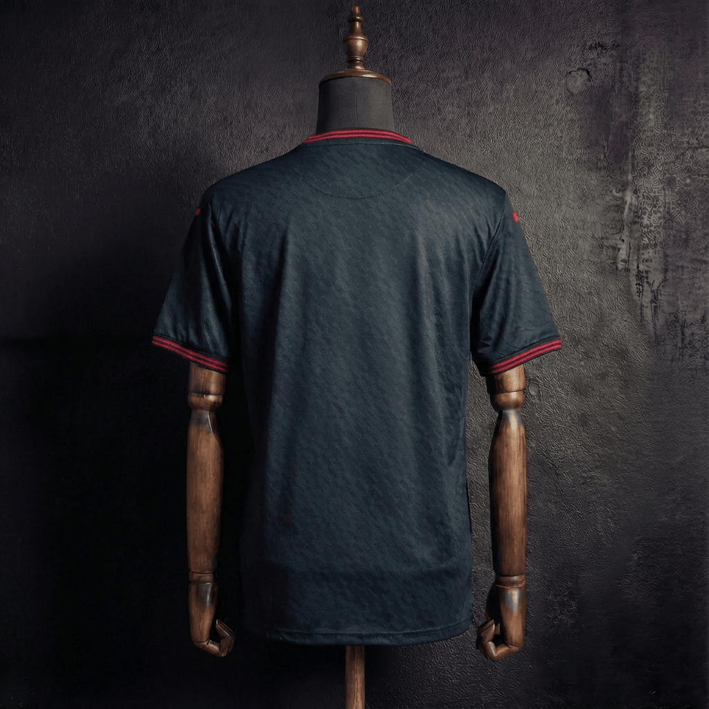 Camisa Torino Modelo Especial 25/26