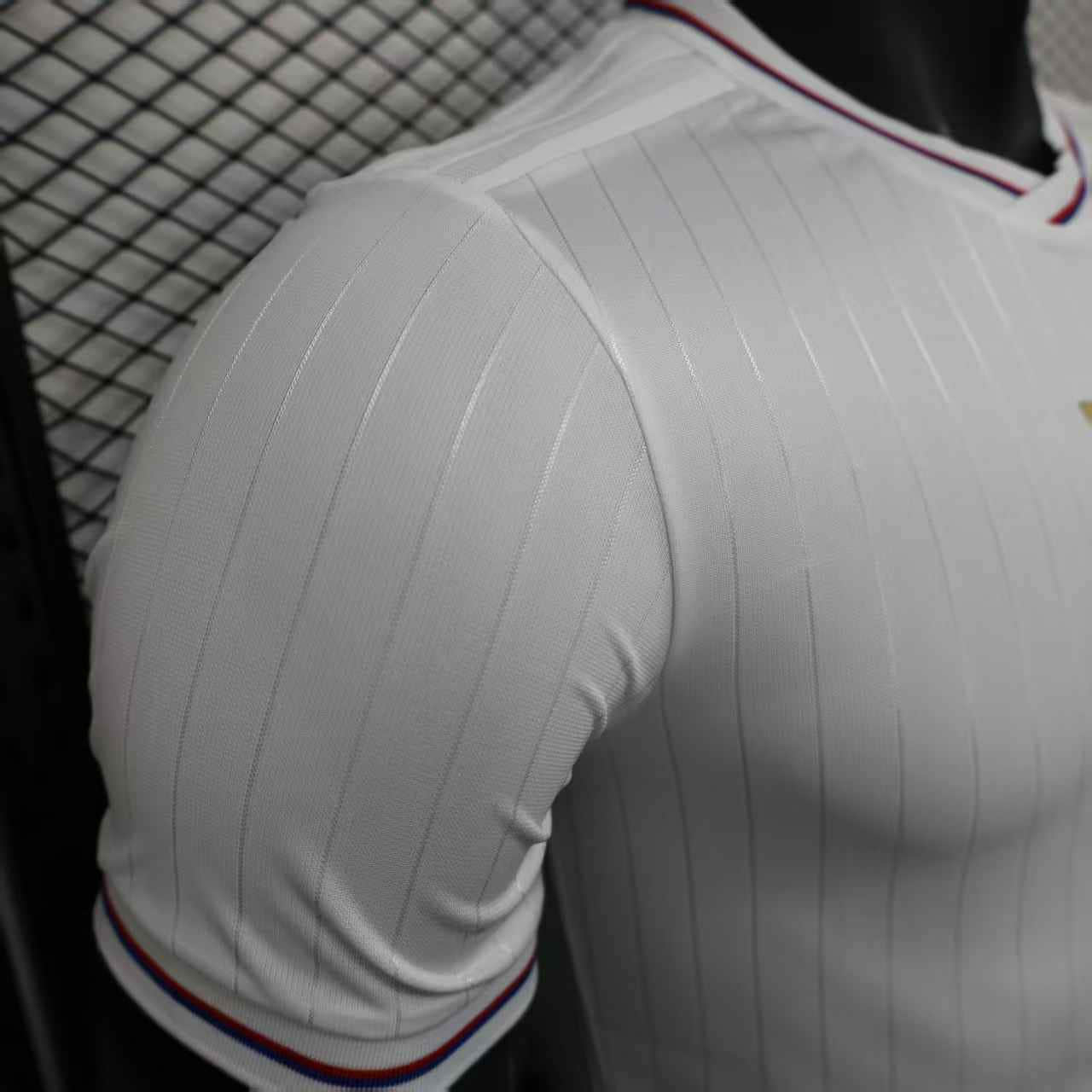 Camisa Olympique Lyon Modelo Especial Jogador 25/26
