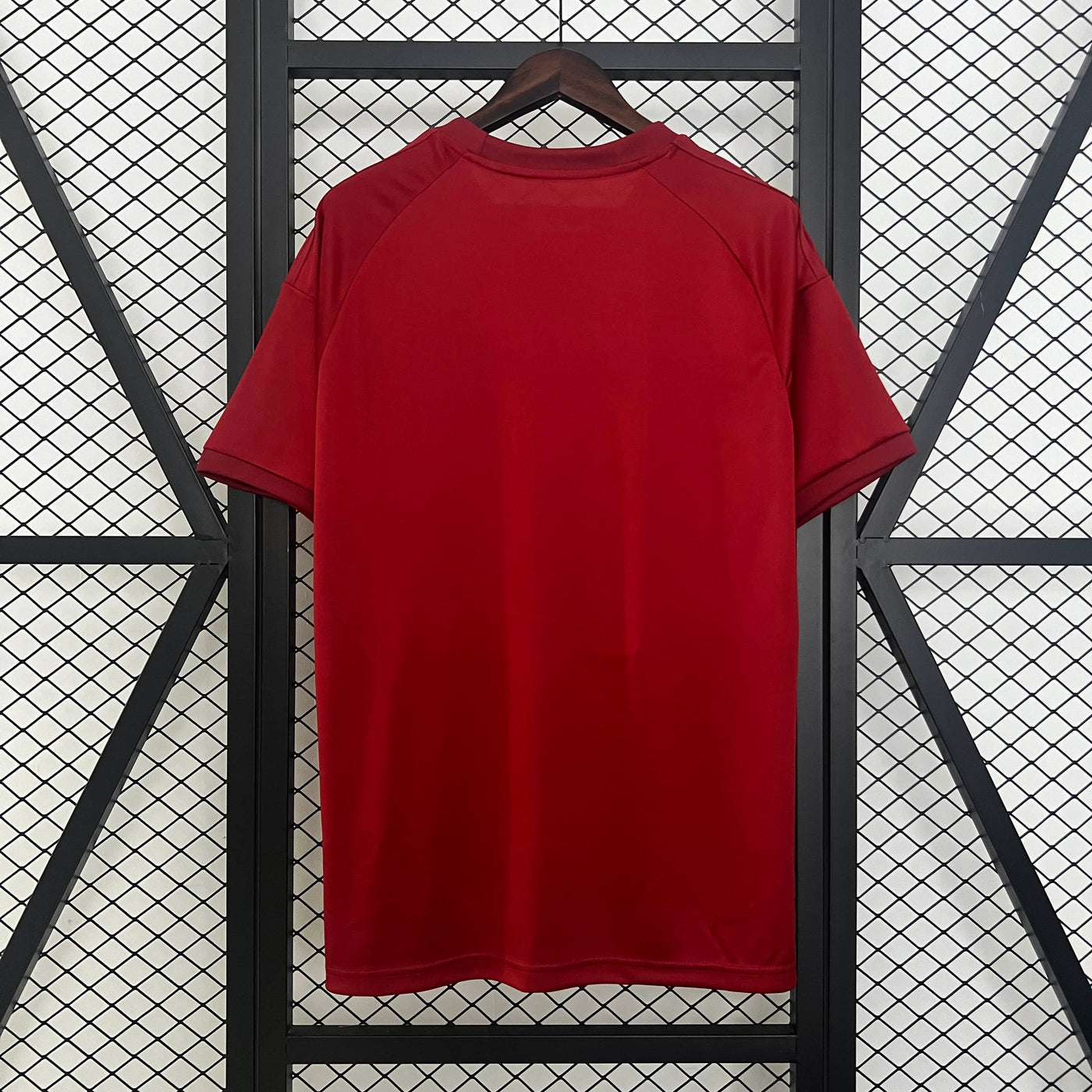 Camisa Bayern Munich Modelo Especial 24/25