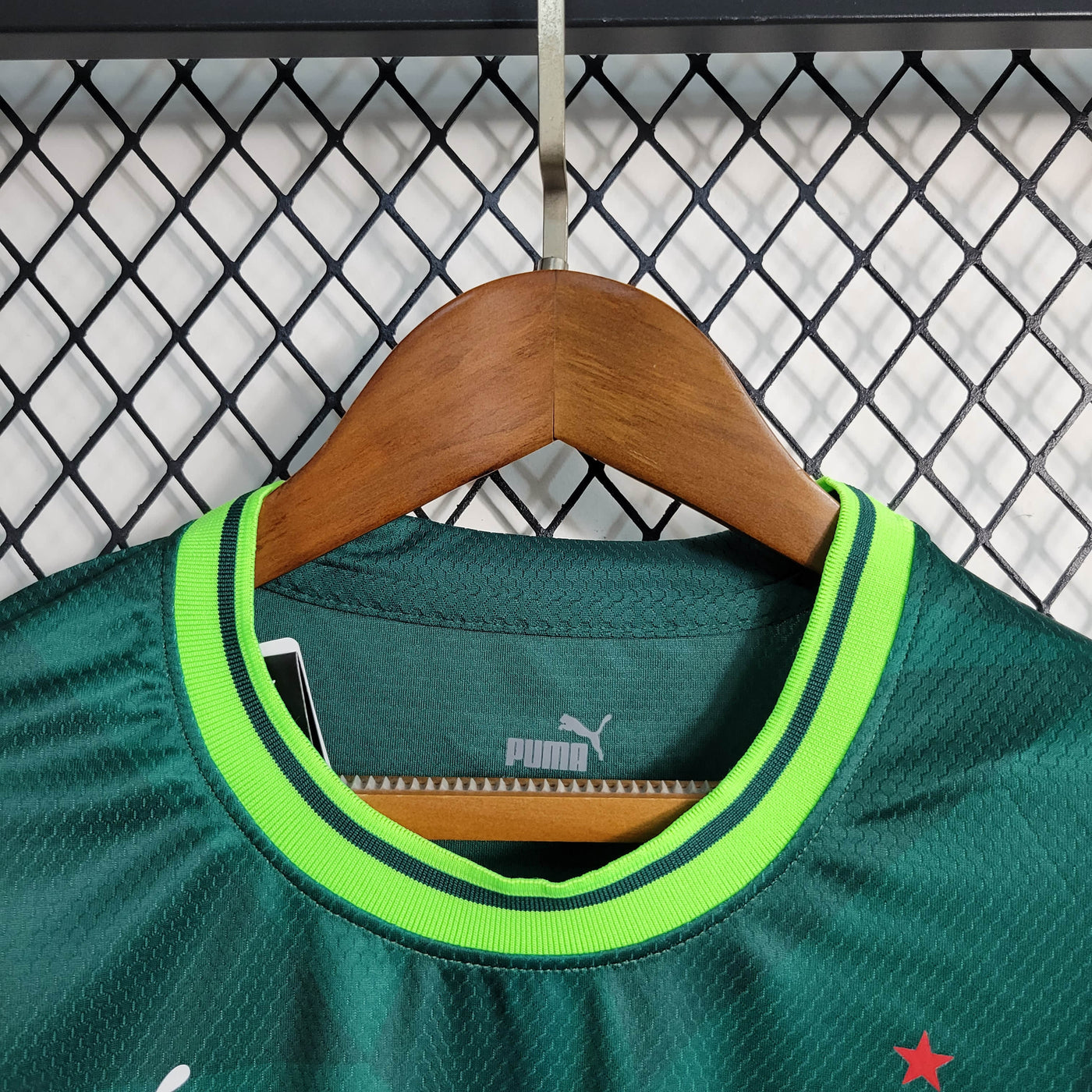 Camisa Palmeiras Home 23/24 Feminina