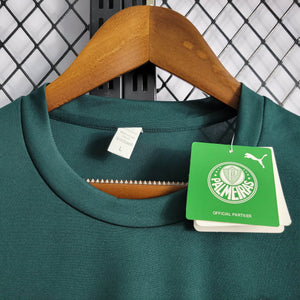 Camisa Palmeiras Treino 22/23