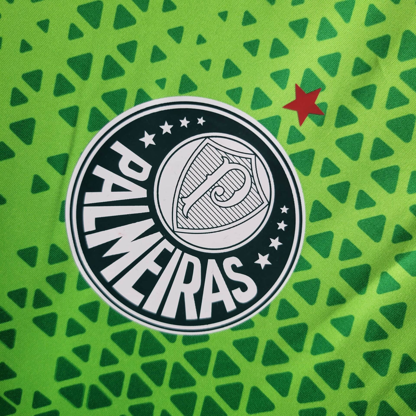 Camisa Palmeiras Treino 24/25