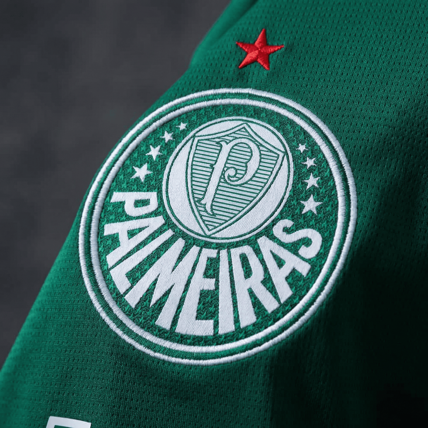 Camisa Palmeiras Home 26/27