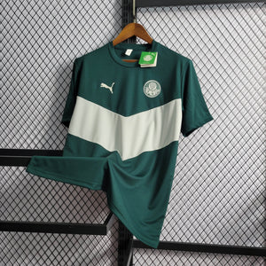 Camisa Palmeiras Treino 22/23