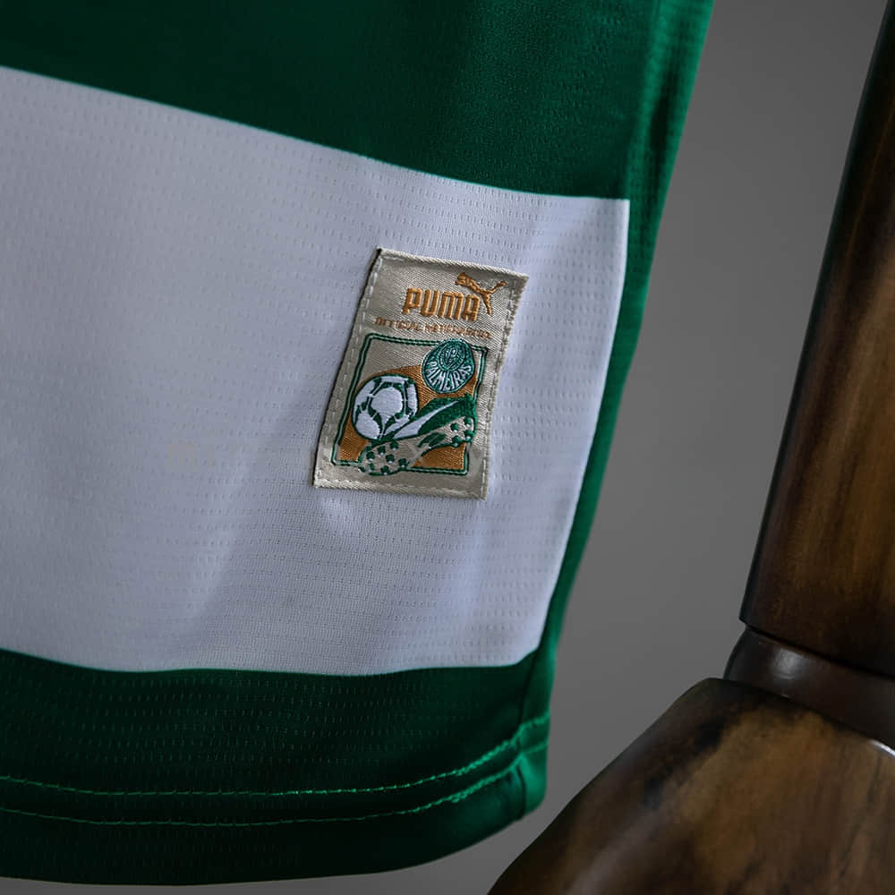 Camisa Palmeiras Modelo Especial 25/26