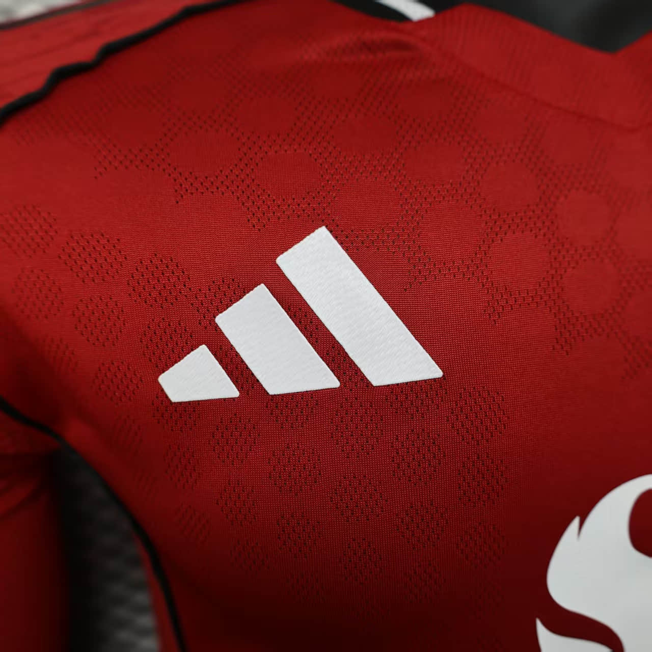 Camisa Manchester United Home Manga Longa Jogador 25/26