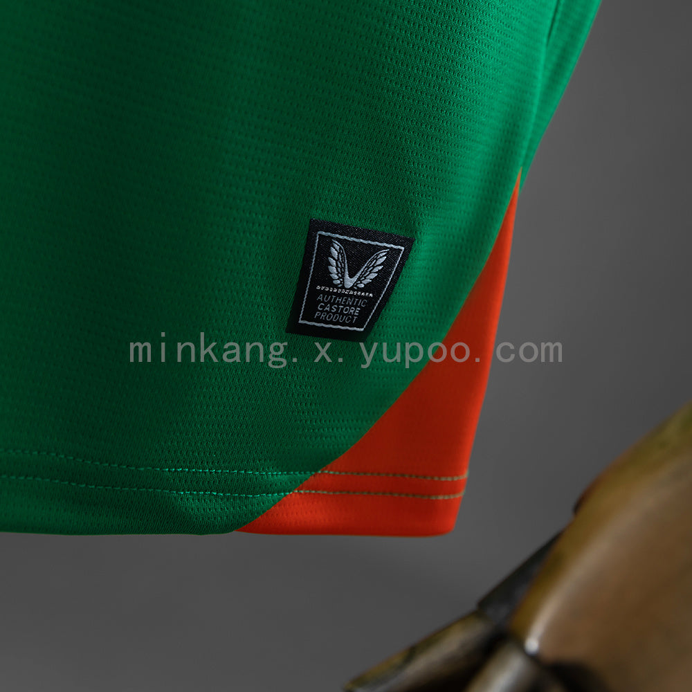 Camisa Irlanda Home 25/26