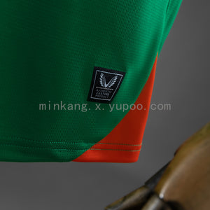 Camisa Irlanda Home 25/26