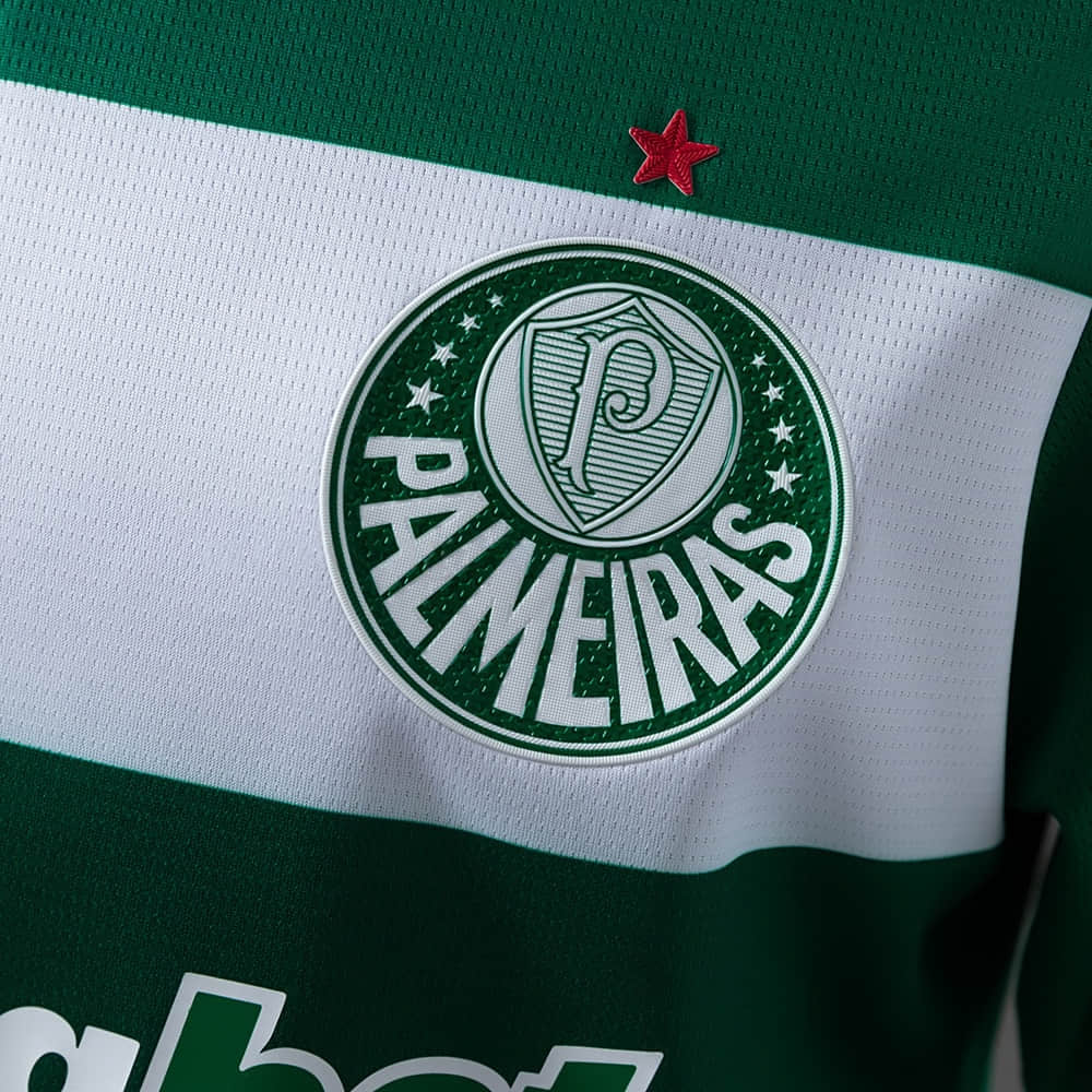 Camisa Palmeiras Modelo Especial 25/26