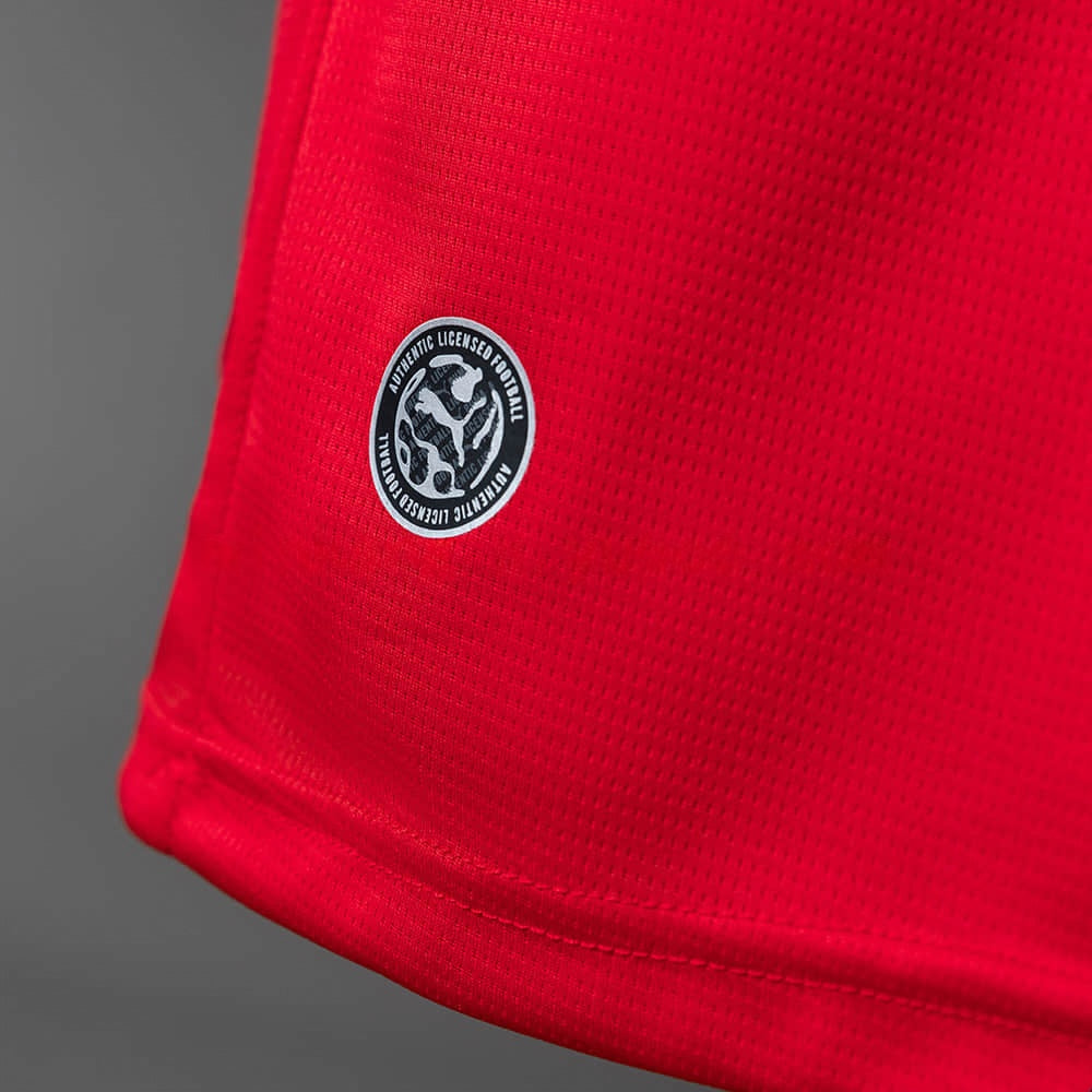 Camisa Áustria Home 2026