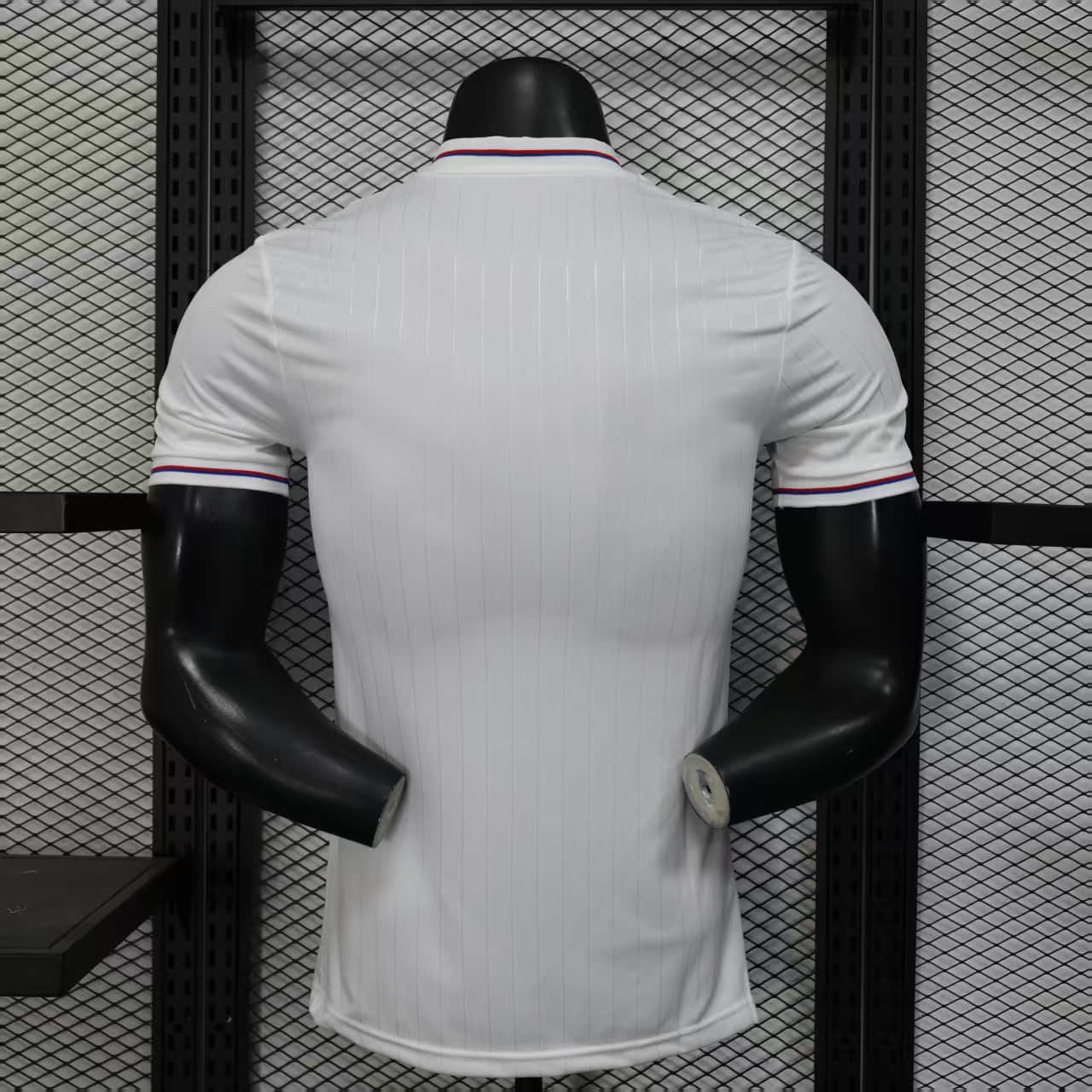Camisa Olympique Lyon Modelo Especial Jogador 25/26