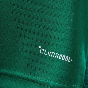 Camisa México Treino Jogador 2026