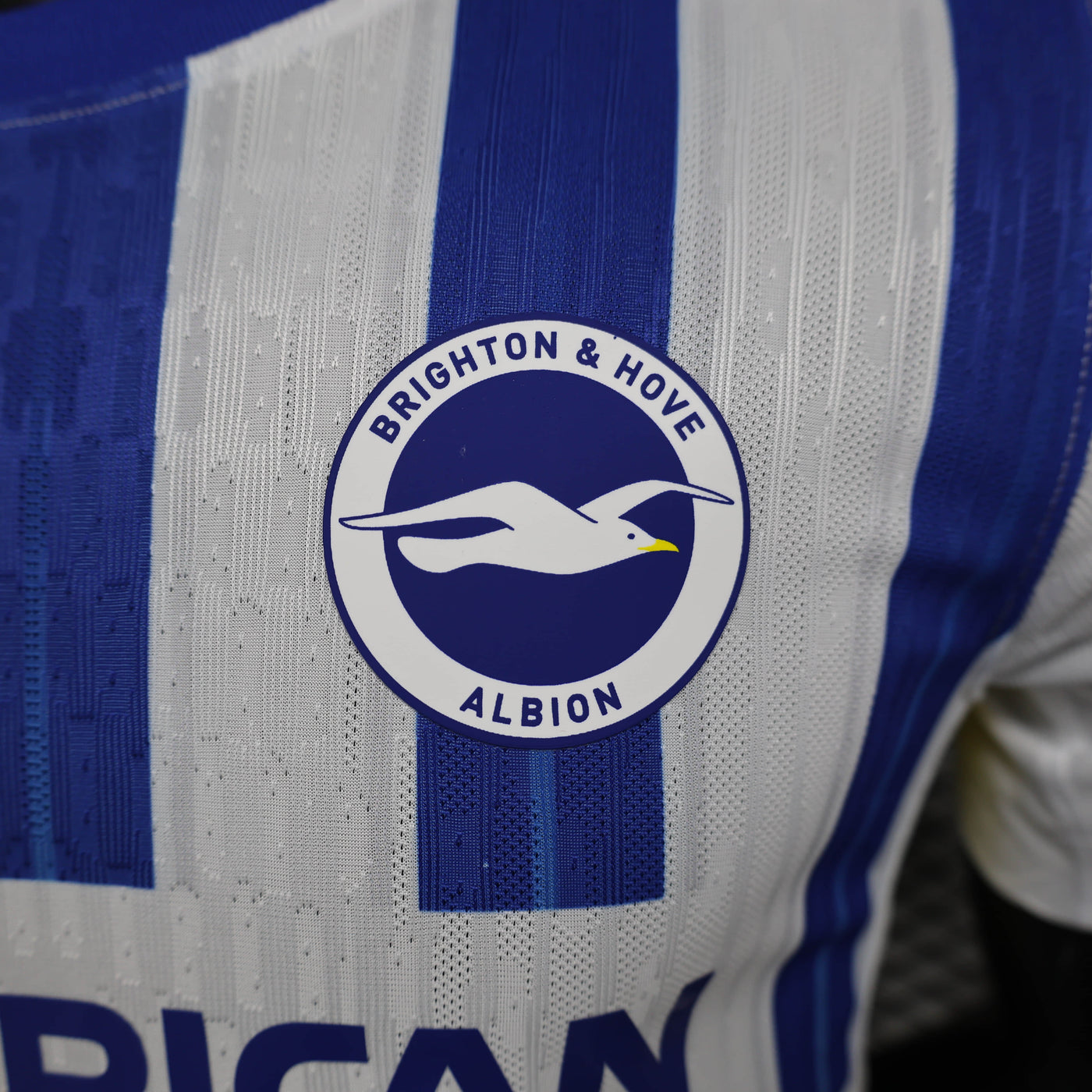 Camisa Brighton Home Jogador 24/25