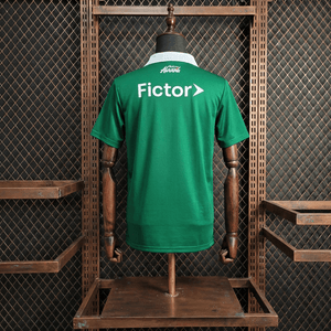 Camisa Palmeiras Modelo Especial 25/26