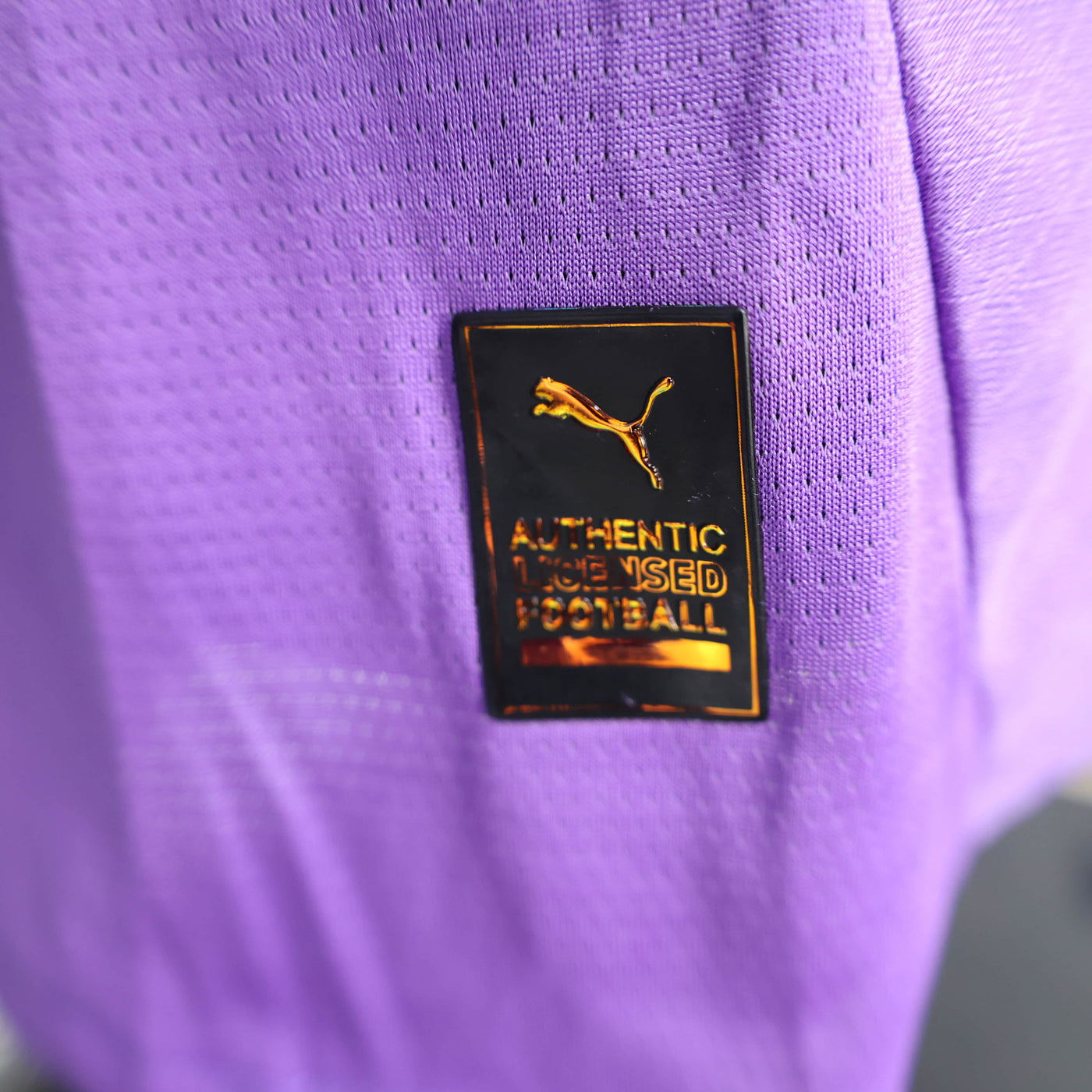 Camisa Borussia Dortmund Modelo Especial Jogador 24/25