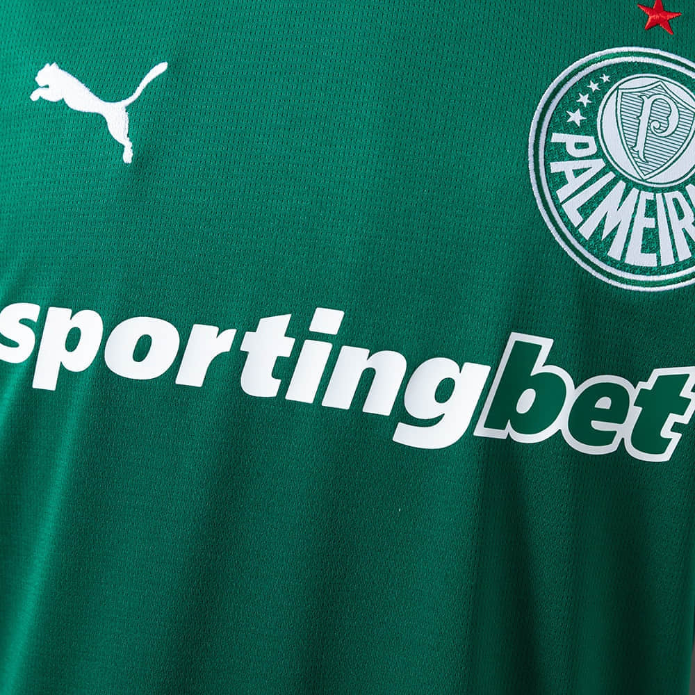 Camisa Palmeiras Home 26/27