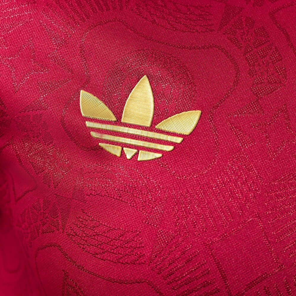 Camisa Bayern Munich Modelo Especial Manga Longa Jogador 25/26