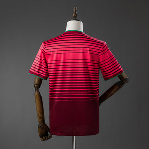 Camisa Portugal Retrô 2014
