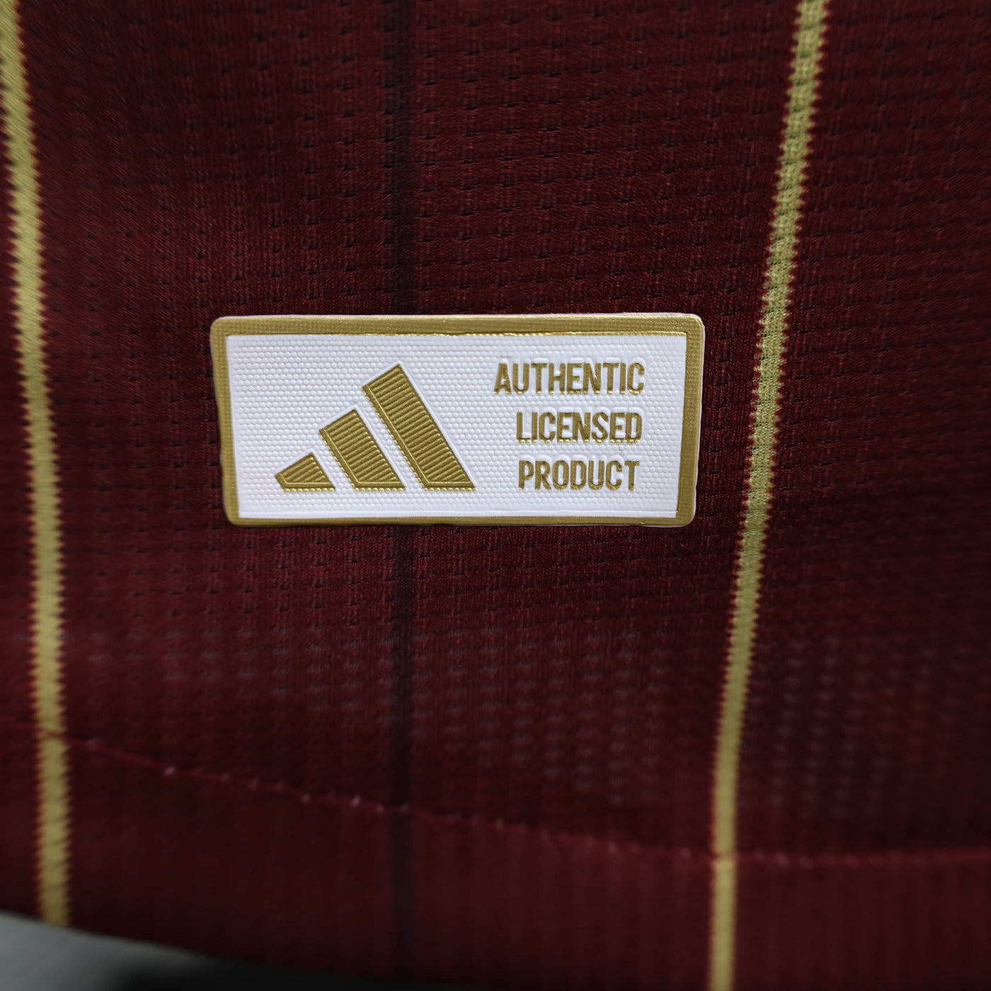 Camisa Roma Home Jogador 24/25