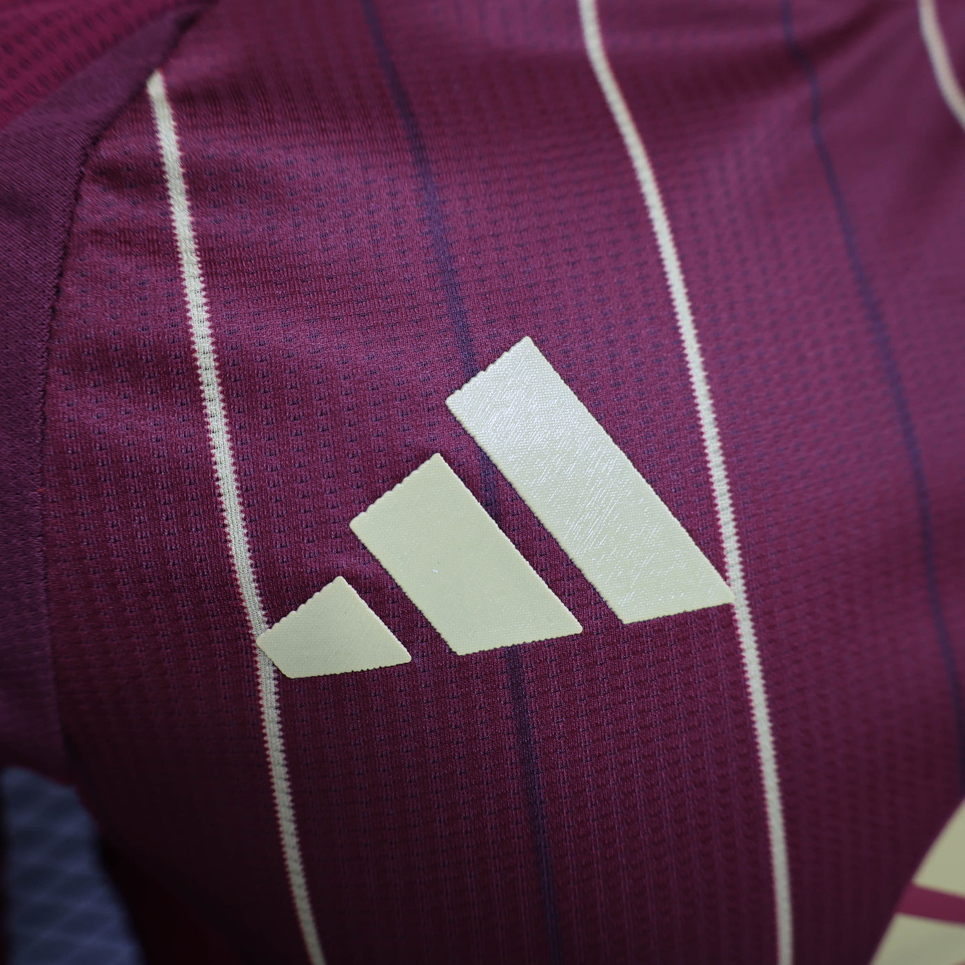 Camisa Roma Home Jogador 24/25