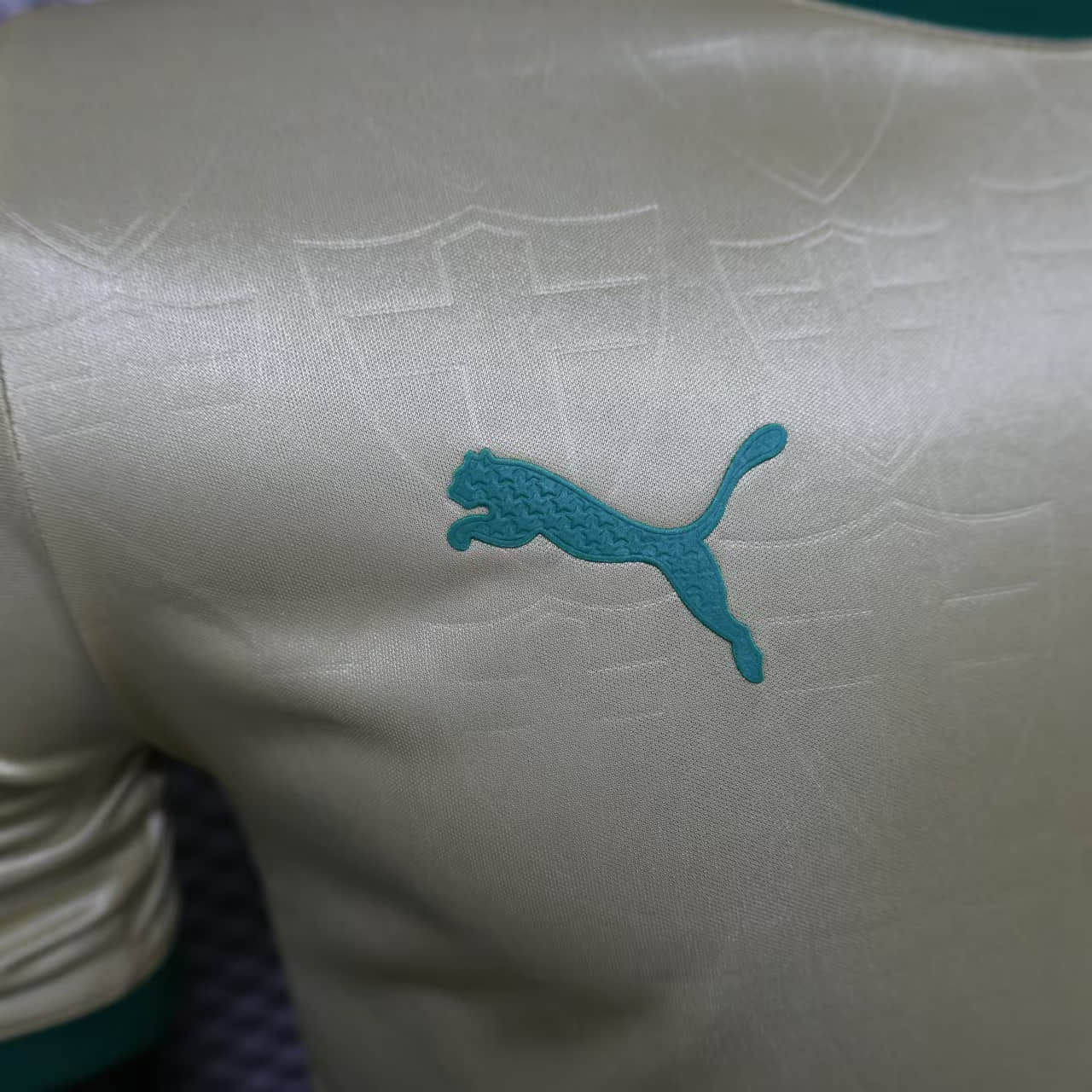 Camisa Palmeiras Away Jogador 24/25