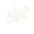 Newer Store logo