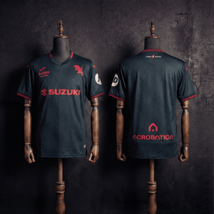 Camisa Torino Modelo Especial 25/26
