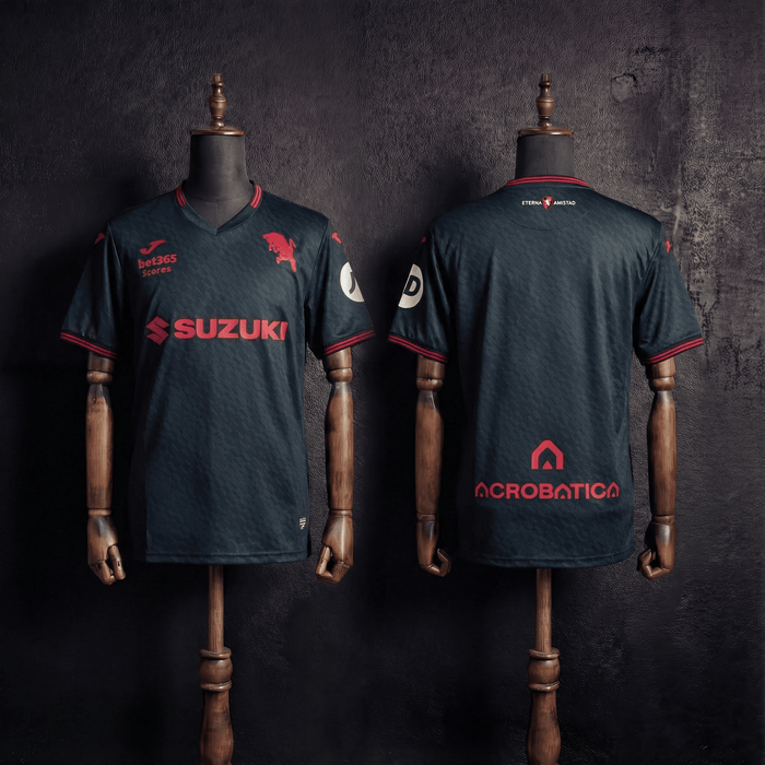 Camisa Torino Modelo Especial 25/26