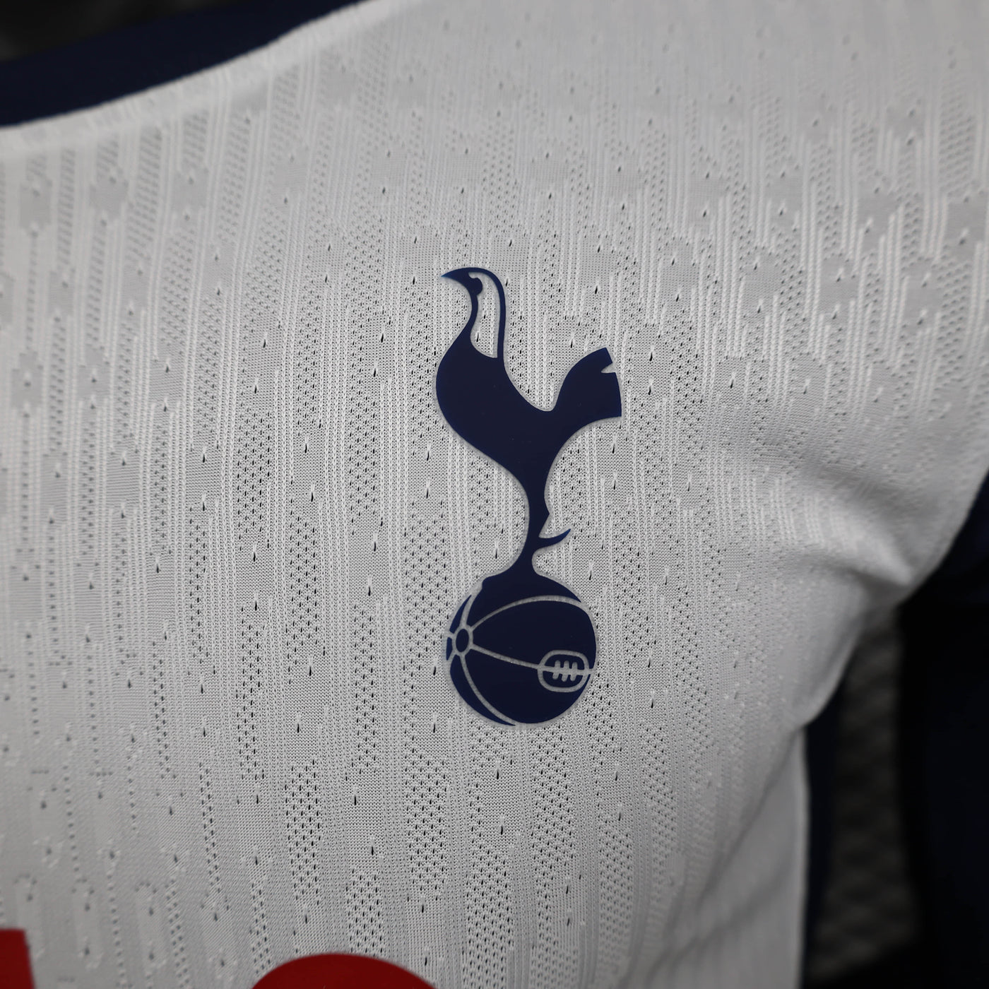 Camisa Tottenham Hotspur Home Manga Longa Jogador 24/25