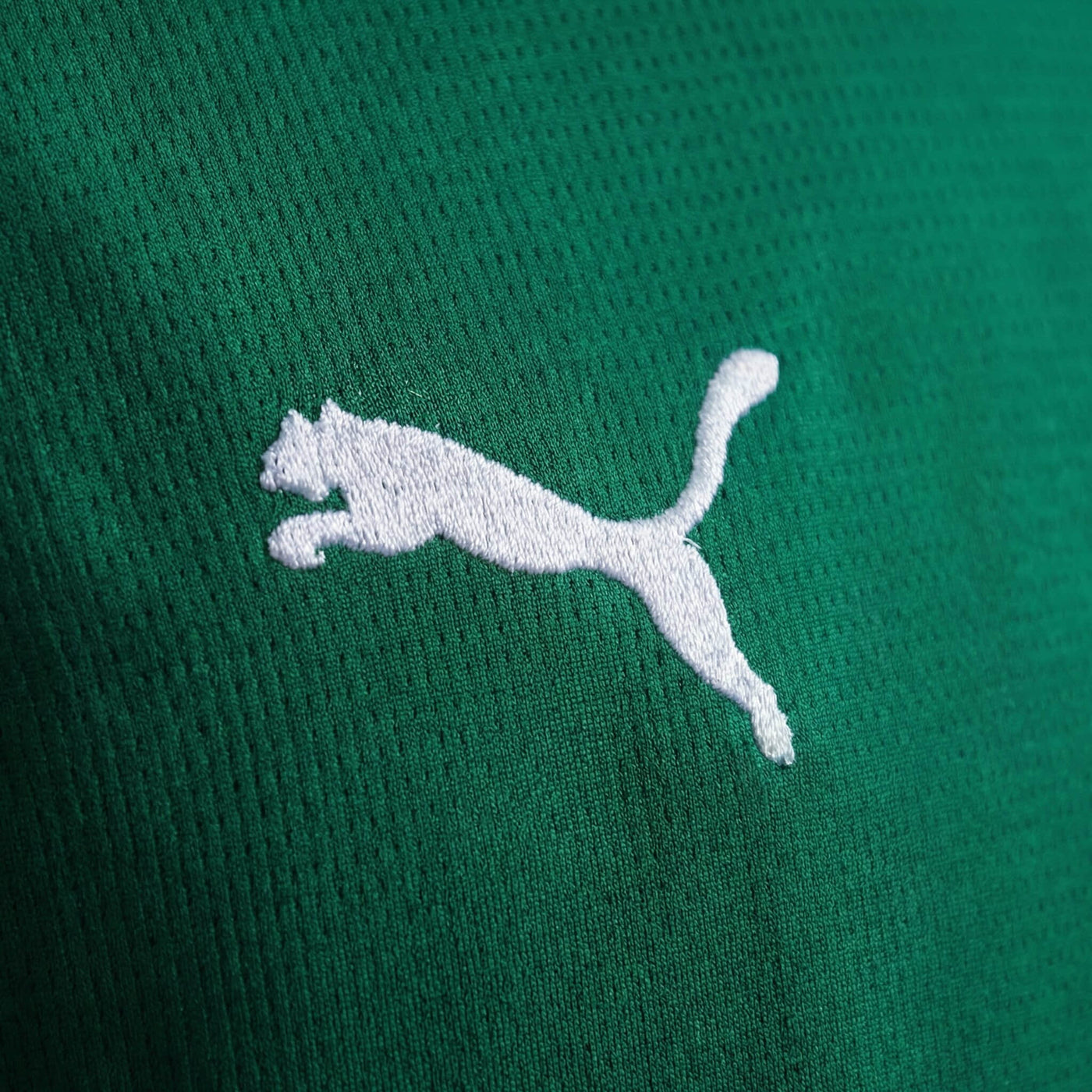 Camisa Palmeiras Home 26/27 Feminina