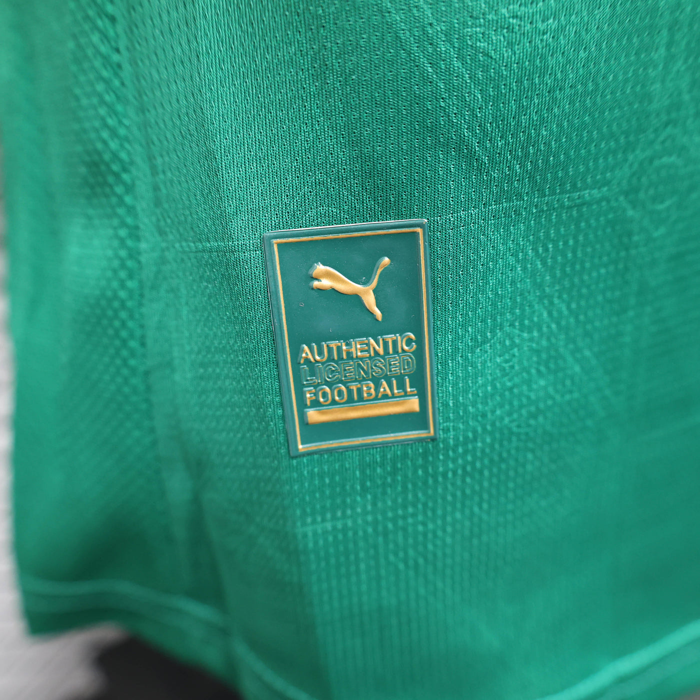 Camisa Palmeiras Home Jogador 25/26