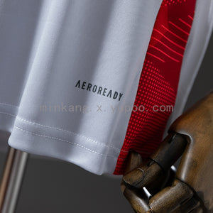 Camisa Internacional Treino Cinza 25/26