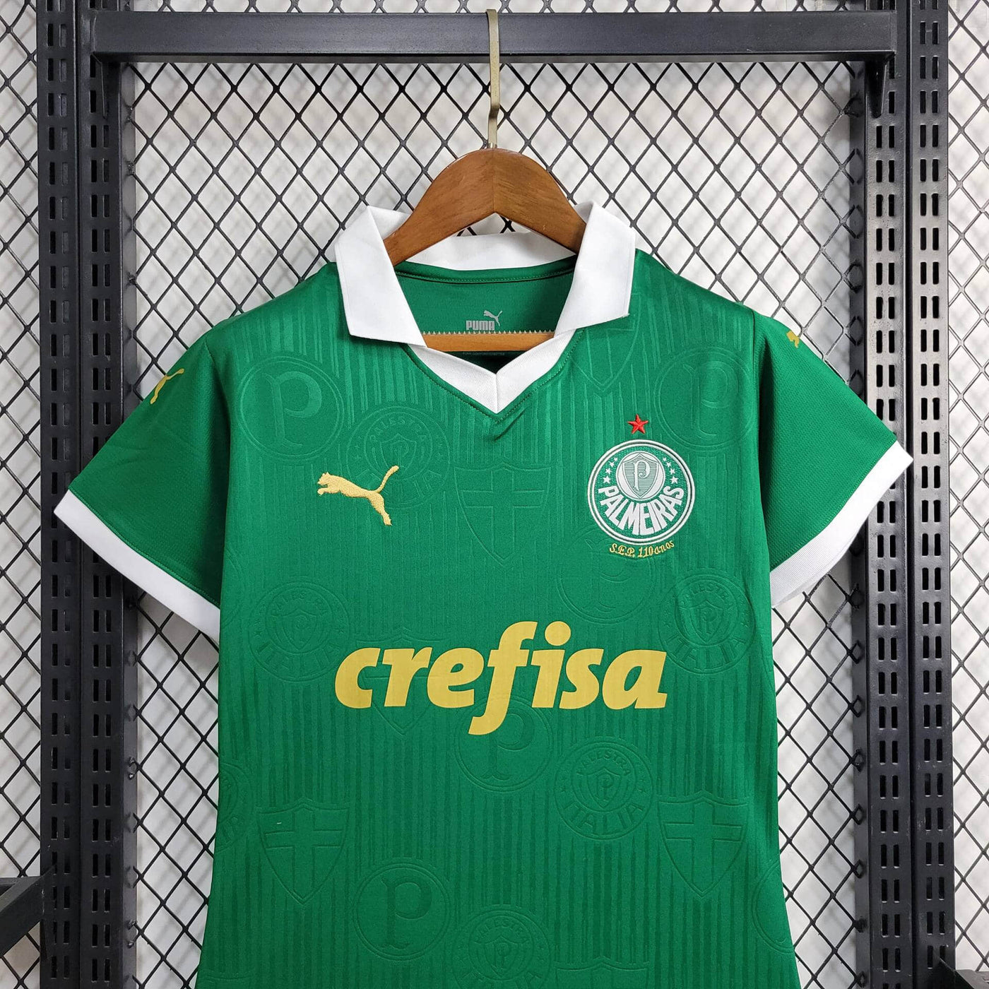 Camisa Palmeiras Home 24/25 Feminina