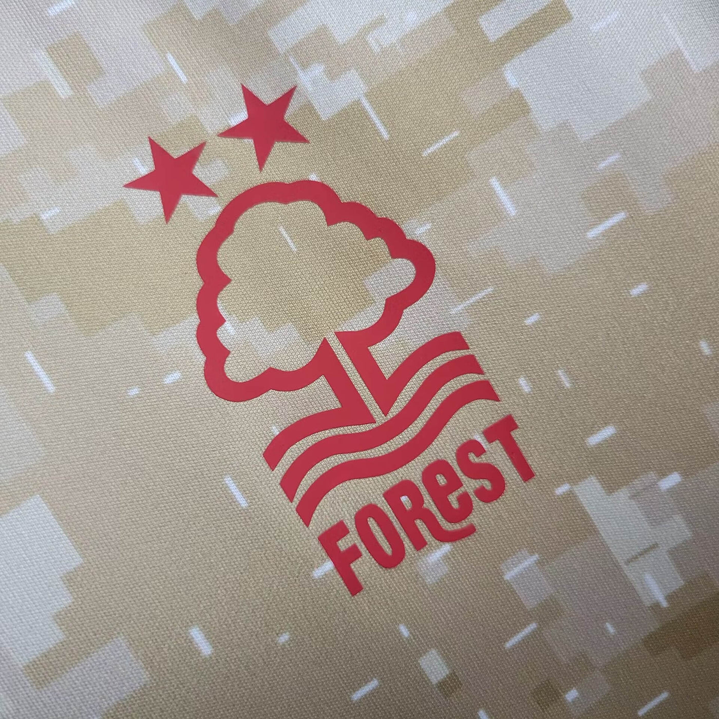 Camisa Nottingham Forest Treino 23/24