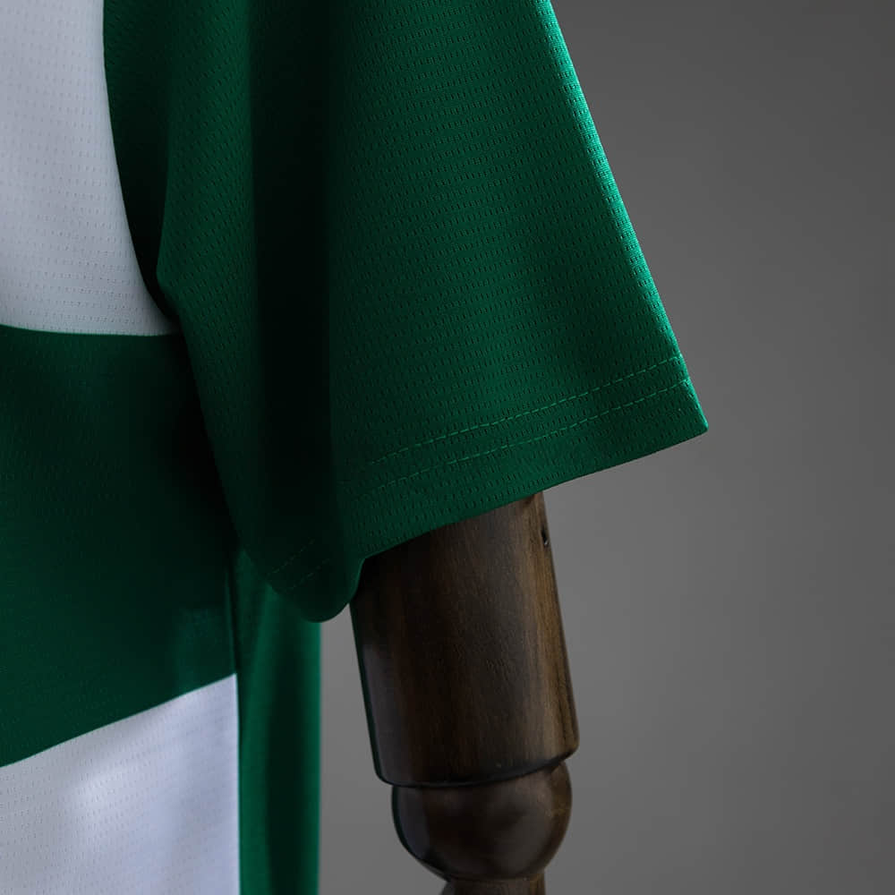 Camisa Palmeiras Modelo Especial 25/26