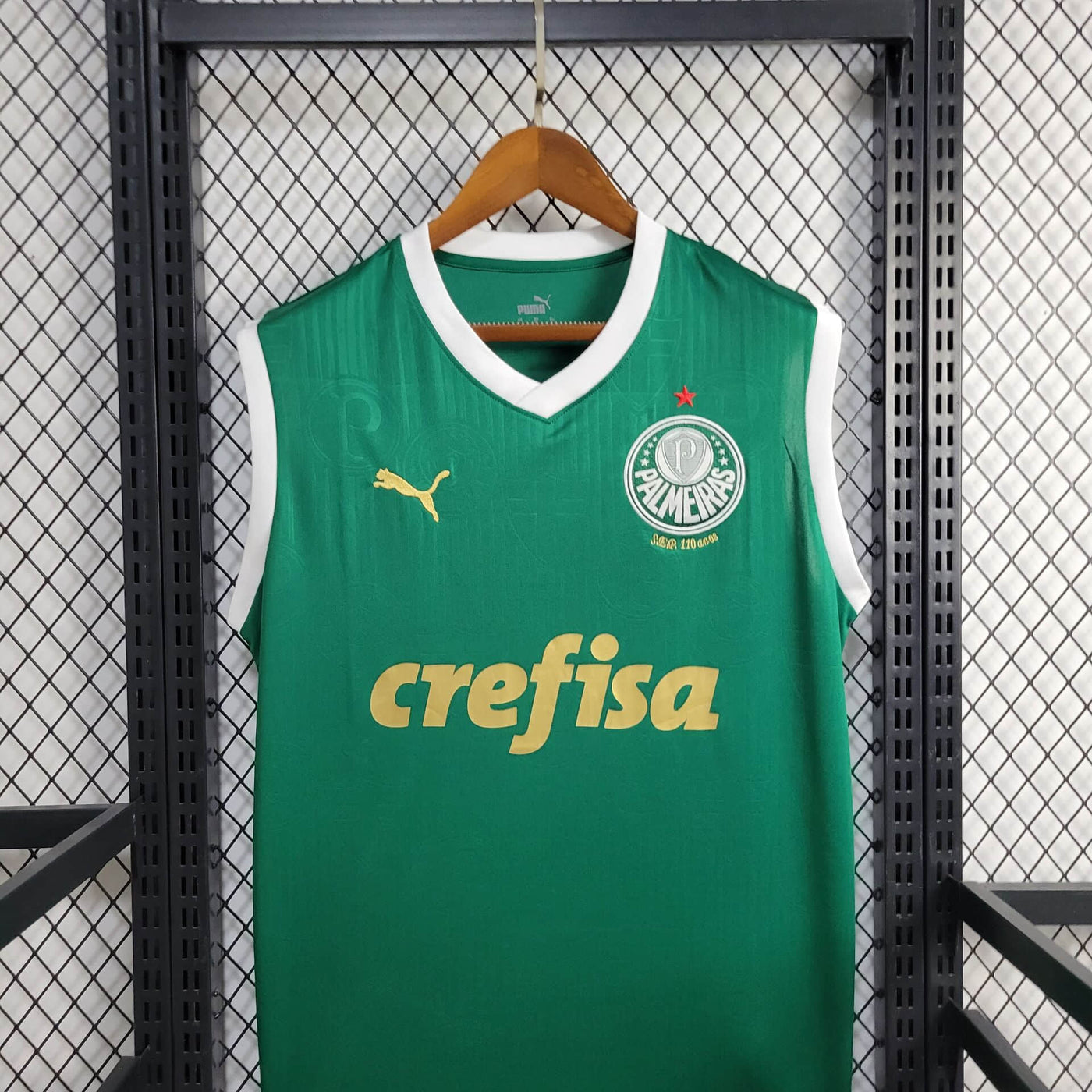 Camisa Palmeiras Home 24/25