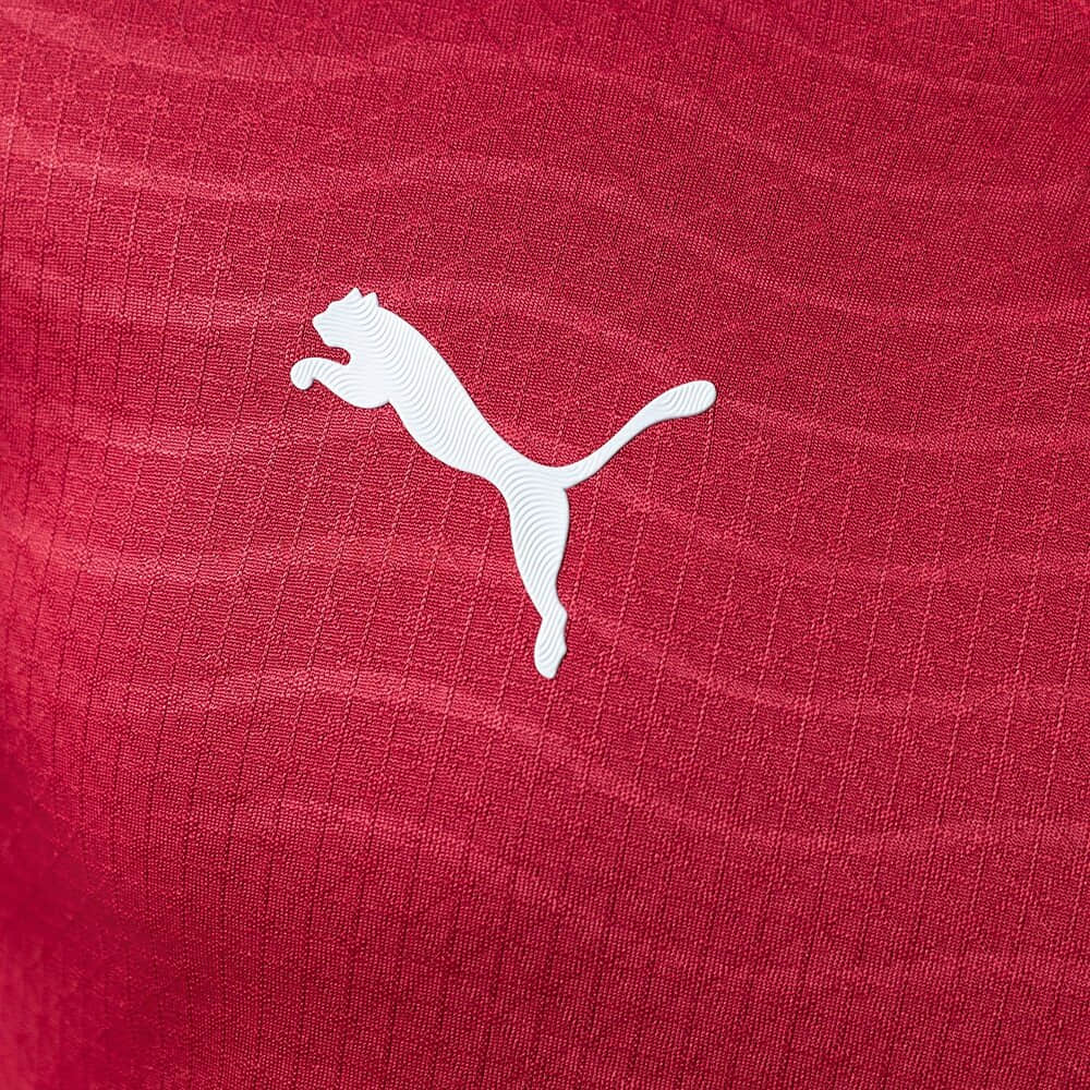 Camisa Portugal Home Manga Longa Jogador 2026