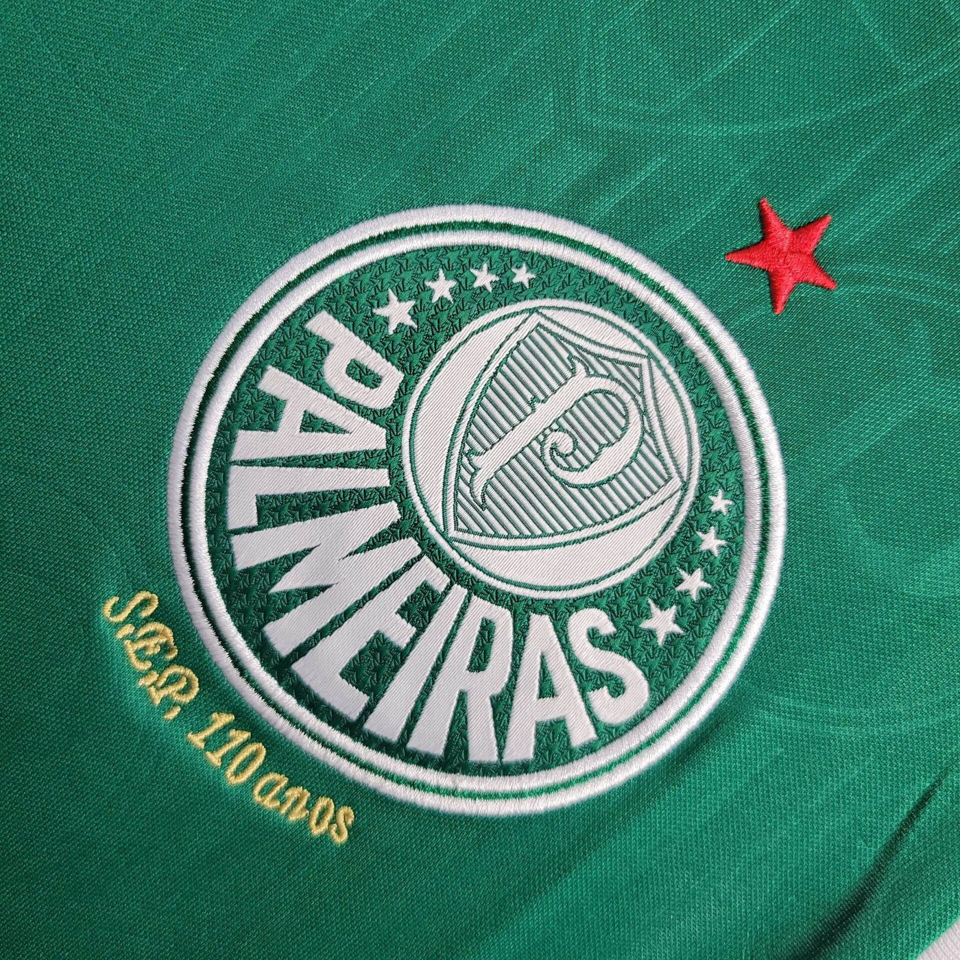 Camisa Palmeiras Home 24/25
