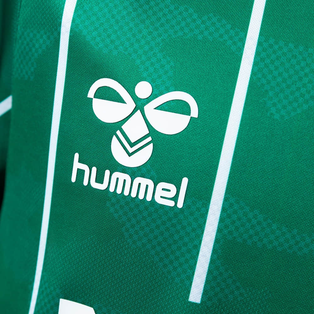 Camisa Werder Bremen Home 25/26