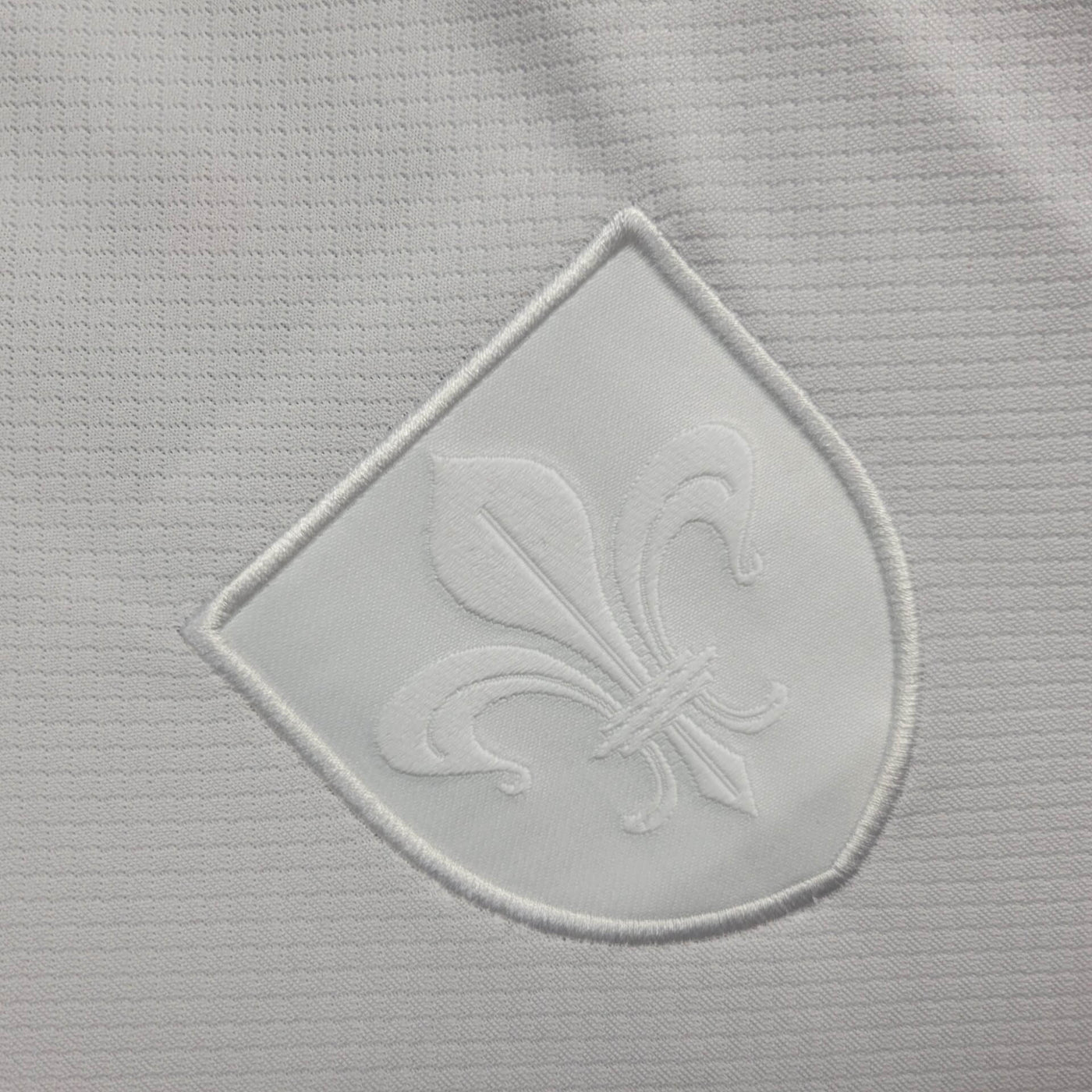 Camisa Lille Modelo Especial 24/25