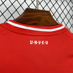 Camisa Union Berlin Home 25/26